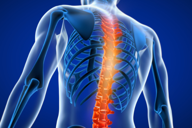 Spinal Fractures Treatment in Swargate, Sinhagad Road & Parvati Pune