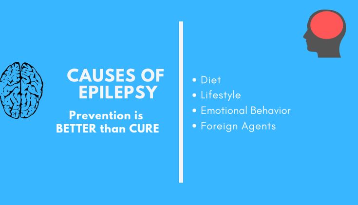 Understanding Diet, Lifestyle, Emotional Behavior, and Foreign Factors as Epilepsy Causes